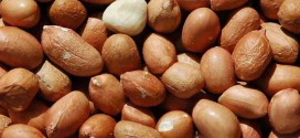فوائد الفول السوداني