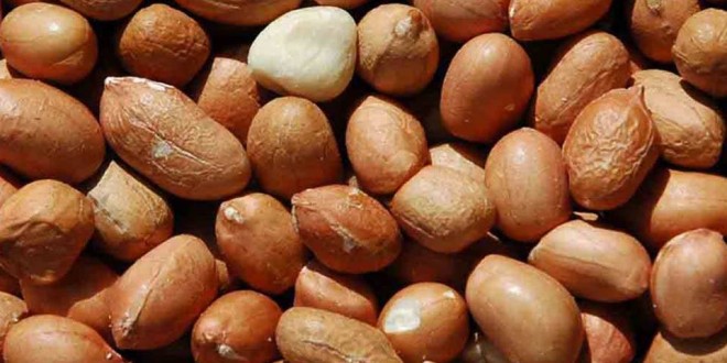 فوائد الفول السوداني