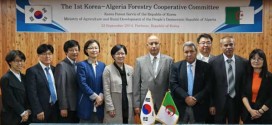 La Corée du Sud va aider l’Algérie à récupérer ses forêts et à étendre sa superficie forestière