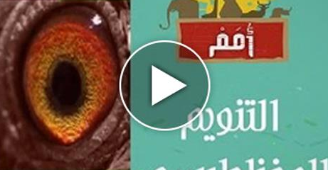 إذا هاجمك أسد أو تمساح.. فكيف تنوّمه مغناطيسياً؟