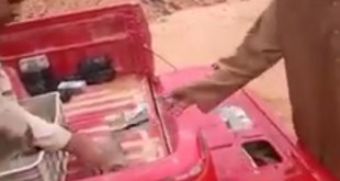 بالفيديو القبض على رواتب “داعش”