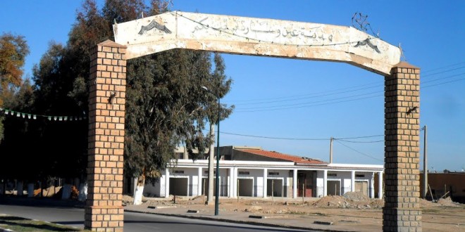سكان أحياء  “ابن باديس” و”عبان رمضان” بعين وسارة يطالبون مصالح البلدية بحملة تطهير واسعة ضد الكلاب الضالة