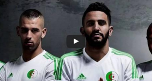 فضيحة أديداس.. قميص الخضر الجديد نسخة مقلدة