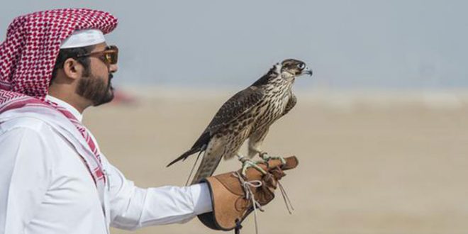 رحلة صيد فجرت الأزمة الخليجية