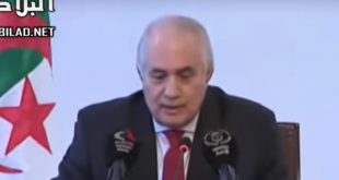 المجلس الدستوري الجزائري يثبت الشغور النهائي لمنصب الرئاسة بعد استقالة بوتفليقة